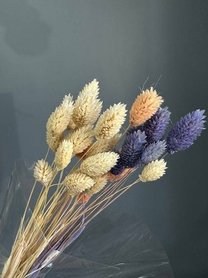 Сухоцветы Физалис лавандовый микс 04162 фото