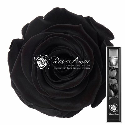 Стабилизированная черная роза в коробке 30 см 3163 фото
