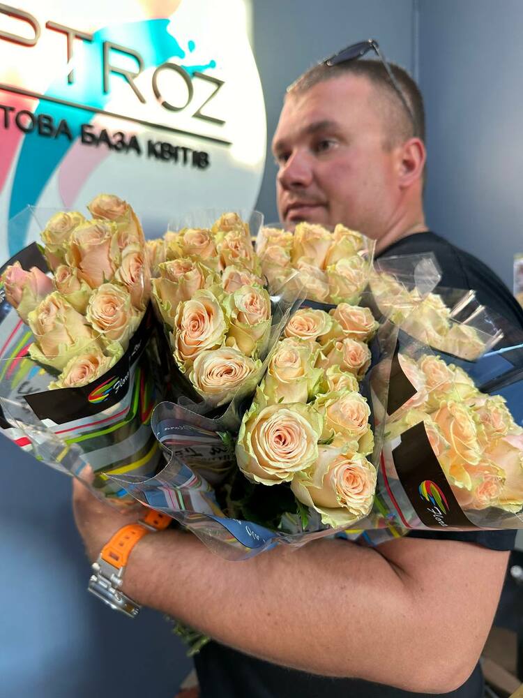 Роза Примавера 60 см Голландия