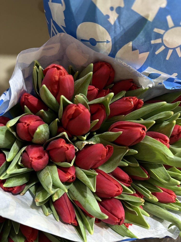 Тюльпан Рэд Стони 40см Голландия
