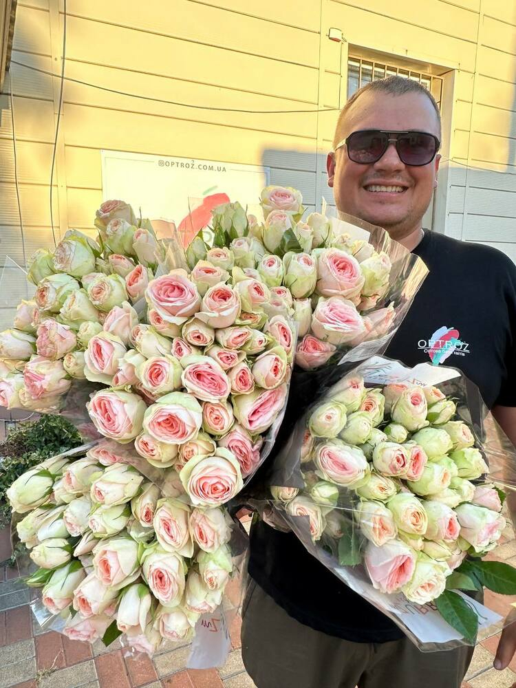 Роза кустовая Лавс ми Ингер Кристин 50 см Голландия