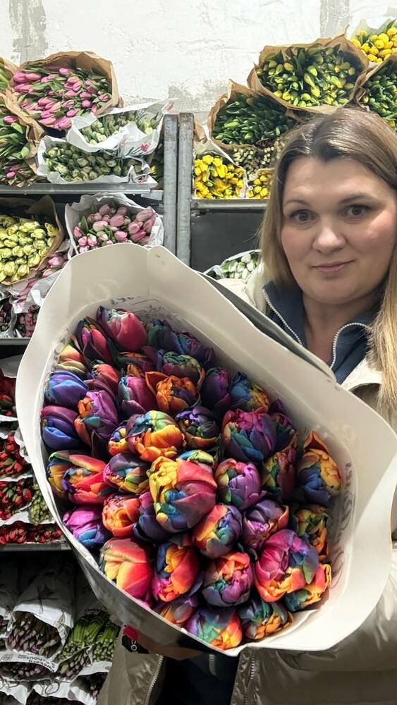 Тюльпан пионовидный радужный Голландия